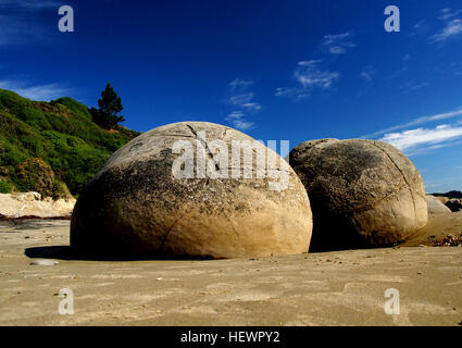 Les Moeraki Boulders, merveilles géologiques sont exposés à l'érosion des roches sédimentaires prévue de 65 à 13 millions d'années. Ils sont formés par la précipitation de calcite progressive dans plus de 4 millions d'années de mudstone. Ces concrétions sphériques sont importants à l'échelle internationale pour leur valeur scientifique et sont une attraction touristique populaire. Moeraki est situé sur la côte Est de l'île du sud de Nouvelle-Zélande. 35 km au sud de Oamaru, et 80 km au nord de Dunedin. Banque D'Images