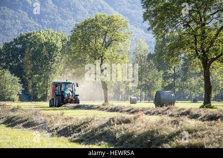 La récolte du tracteur dans le champ Banque D'Images