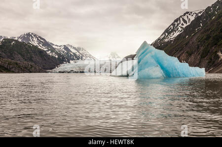 Grewingk Glacier, Lake Trail, Kachemak Bay, Alaska, USA Banque D'Images