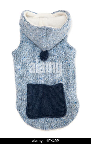 Seul blue dog sweater isoler on white Banque D'Images