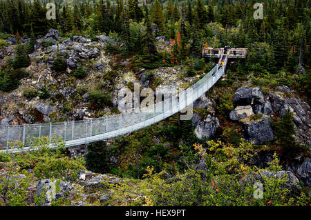 Le Yukon Suspension Bridge est un pont suspendu de câble pour piétons situé sur 1,6 km 46,5 sur la route du Klondike Sud, dans le Nord de la Colombie-Britannique, Canada. Il est à 200 ft (60.96 m) de long et s'étend sur 57 pieds (17,36 mètres) sur le Canyon de la rivière Tutshi. Il y a un prix d'entrée et il est visité par plus de 25 000 personnes chaque été entre les mois de mai et septembre. Banque D'Images