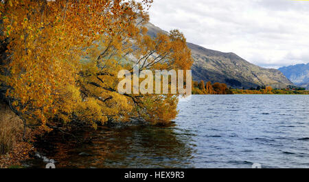 Automne au lac Hayes, près de Arrowtown et Queenstown, Banque D'Images