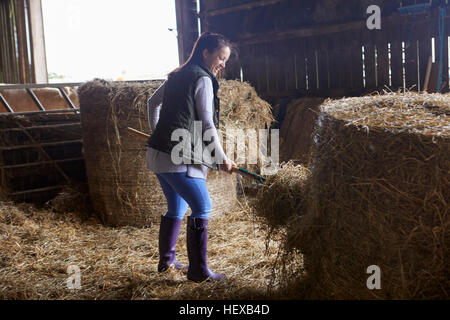 Femme en pelletant hay barn Banque D'Images