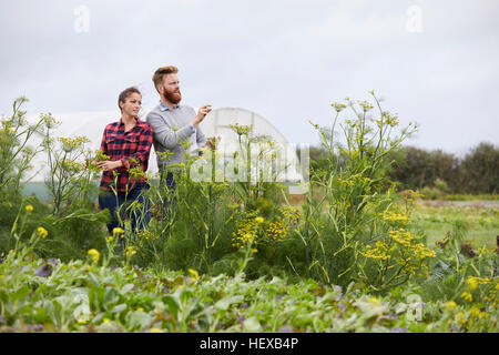 Sur les terres agricoles couple using digital tablet Banque D'Images