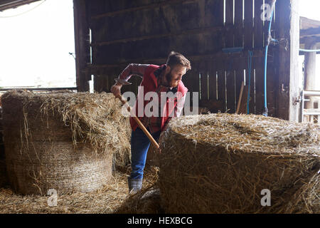 L'homme à pelleter hay barn Banque D'Images