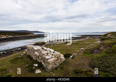 Sur Egmont Port Saunder's Island dans les Malouines Banque D'Images