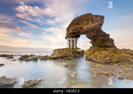 Passage de la mer au large de la côte à Whitburn près de Newcastle Upon Tyne, sur la côte nord-est de l'Angleterre, Mer du Nord Banque D'Images