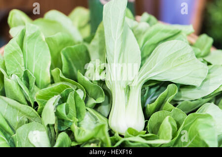 Groupe de bok choy organiques sur l'affichage du marché agricole. Banque D'Images