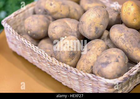 Vue de dessus les pommes de terre dans un panier sur un fond de bois gris Banque D'Images