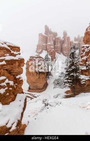 Neige de l'hiver tombant sur les cheminées à Bryce Canyon National Park dans le sud de l'Utah. Banque D'Images