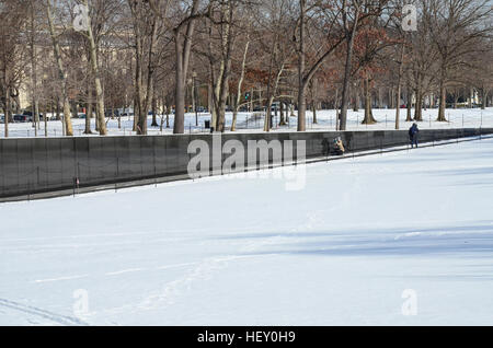 Jour de neige à la Vietnam Veterans Memorial, Washington DC, le 23 janvier 2014 Banque D'Images