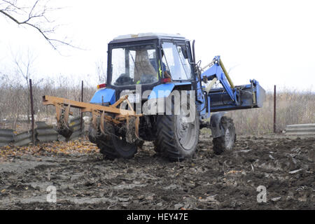 Le tracteur laboure le jardin. Labourer le sol dans le jardin. Banque D'Images