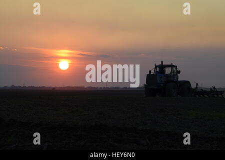 Tracteur labourer labourer le champ sur un fond de coucher de soleil. silhouette de tracteur sur fond coucher de soleil. Banque D'Images