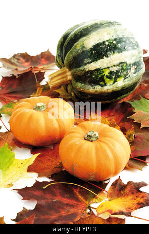 Squash colorés portant sur les feuilles d'automne Banque D'Images