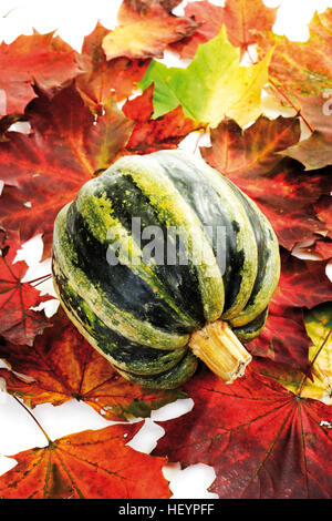 Squash avec motif de feuilles d'automne Banque D'Images