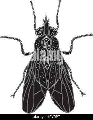 Silhouette d'insectes Mouche. Fly sketch un tatouage. Doodle style. Design moderne. Vector illustration Illustration de Vecteur