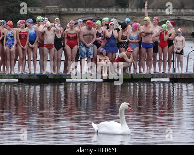 Londres, Royaume-Uni. Dec 25, 2016. Serpentine annuel natation course dans Hyde Park, Londres, UK © Nastia M/Alamy Live News Banque D'Images