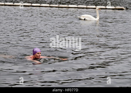 Dec 25, 2016. Une femelle adulte membre de la Serpentine Swimming Club participe à la Journée annuelle de Noël nager, Hyde Park, London UK Banque D'Images