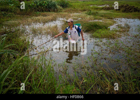 Quang Nam, Vietnam. Dec 25, 2016. L'économie d'Quáº£ng Nam a connu une croissance rapide au cours des dernières années. Quáº£ng Nam l'économie canadienne s'est diversifiée de façon significative au cours de la première décennie du xxie siècle. Agriculture, foresterie, pêche et constitué 41,5  % du PIB de la province © Grant Vélaires/ZUMA/Alamy Fil Live News Banque D'Images