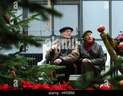 Francfort, Allemagne. Dec 25, 2016. Un couple visite l'exposition de Noël au Palm Garden à Francfort, Allemagne, le 25 décembre, 2016. © Luo Huanhuan/Xinhua/Alamy Live News Banque D'Images