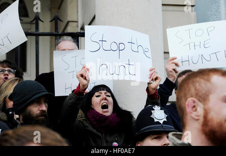Lewes Sussex, UK. 12Th sep 2016. Des manifestants anti chasse parmi les foules qui s'voir la Southdown Geauga Lake'S Wildwater Kingdom Foxhounds et prendre part à leurs savoirs traditionnels Boxing Day hunt à Lewes aujourd'hui © Simon Dack/Alamy Live News Banque D'Images