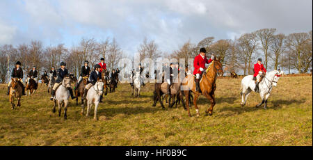 Le lendemain de Noël traditionnel se réunit à Horwich près de Bolton, dans le Lancashire.26th décembre 2016 : Rivington où chevaux et cavaliers se rassemblent pour la chasse annuelle du lendemain de Noël.L'événement annuel organisé par la Holcombe Hunt a été suivi par des centaines de personnes dans des conditions ensoleillées froides qui étaient venues pour apprécier le spectacle traditionnel. Banque D'Images