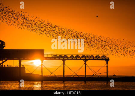 Pays de Galles Aberystwyth UK, le mardi 27 décembre 2016 UK weather : au coucher du soleil de façon spectaculaire à la fin de manière claire et très froide journée de décembre, des dizaines de milliers d'étourneaux effectuer plus murmurations dramatique avant de descendre à Aberystwyth foule ensemble et se percher pour la nuit en toute sécurité sur les jambes de fer de fonte sous la ville balnéaire victorienne pier Bien qu'apparemment abondante à Aberystwyth, les oiseaux sont dans la RSPB's 'red' liste des espèces en péril, avec leur nombre à travers le Royaume-Uni a diminué de plus de 60  % depuis les années 1970, Photo © Keith Morris / Alamy Live News Banque D'Images