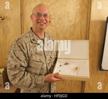 Sapadalure le camp, l'Afghanistan - Le Lieutenant Joseph W. Diclaro II, de Beckley, W.Va., qui détient un doctorat en entomologie médicale, et sert avec la santé publique et de la médecine préventive, du Détachement de l'entreprise chirurgicale Alpha, 2e Groupe Logistique maritime (avant) à bord, l'Afghanistan, le Camp Sapadalure affiche sa collection d'insectes, le 24 août, 2011. Au cours de ce déploiement, le Diclaro a été la seule dans l'entomologiste médical le Commandement régional sud-ouest. Tout au long de son voyage il a dirigé d'innombrables de l'hygiène au travail l'évaluation des sites, et la saisie de près de 100 000 les moustiques de l'avant différents ope Banque D'Images