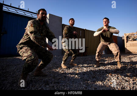 BASE d'opérations avancée, Delhi, province de Helmand, Afghanistan - U.S. Marine Cpl. Jason Misener, un 21-year-old rifleman avec le 3e Bataillon, 3e Régiment de Marines, l'équipe d'entraînement intégrée et natif de Hackettstown, N.J., effectue des squats avec des militaires de l'Armée nationale afghane à partir de la 2e Kandak, 1ère Brigade, 215e Corps canadien, au cours de la partie d'une formation physique sous-ANA Officer Academy ici, le 23 janvier. Le Sgt. Joshua Watson, le sergent du peloton ETT, a déclaré l'académie- le tout premier dans le district de Garmsir - a donné les sous-officiers afghans une occasion de développer leurs compétences en leadership basé sur le milieu marin Banque D'Images