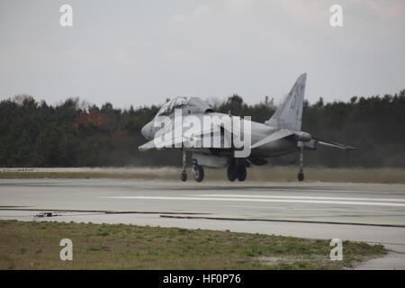 Un AV-8B Harrier des avions d'entraînement avec l'Escadron 203 attaque Marine décolle dans une montée verticale au Marine Corps d'atterrissage auxiliaire Bogue, le 19 mars. Le texan a été conçu spécifiquement pour un rôle d'attaque au sol. La verticale et à décollage court/atterrissage capacité permet l'Harrier de travailler à partir de bases d'opérations avancées, proche de la lutte et réduit le temps qu'il faut pour arriver et frapper une cible. Air support renforcée par des décollages verticaux 120319-M-AF823-442 Banque D'Images