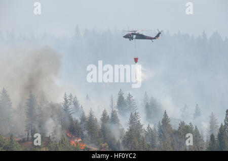 L'ARMÉE AMÉRICAINE UN UH-60 Black Hawk affecté à la Garde nationale de Californie gouttes d'eau sur les pins ponderosa de forêt près de Redding, en Californie, le 23 août, 2012. L'air de Californie et de l'Armée de gardes nationaux appuient les efforts de lutte contre les incendies dans plusieurs régions de l'état. (Photo par le Sgt. David J. Loeffler) Incendies de Californie 2012 120823-Z-WQ610-012 Banque D'Images