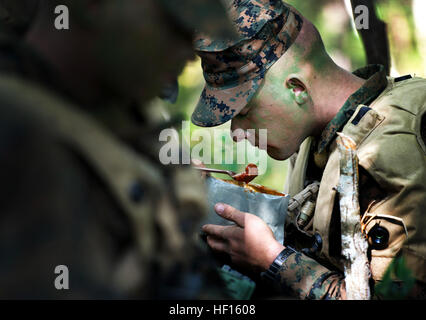 Marines patrouille dans la forêt de Camp Geiger, N.C. durant la semaine de formation de patrouille d'infanterie bataillon le 31 octobre 2013. Semaine de patrouille est un événement de formation de cinq jours qui enseigne aux élèves de l'infanterie, défensive et offensive de base des techniques de patrouille. La Compagnie Delta est la première entreprise de formation d'infanterie d'intégrer pleinement les femmes dans la Marine l'ensemble d'un cycle de formation. Cet avenir sera comanies et évaluer les performances de l'homme marines dans le cadre de recherches en cours sur la lutte contre l'ouverture des champs liés à l'emploi pour les femmes. (U.S. Marine Corps photo par le Sgt. Tyler L./Principale) Parution d'infanterie de marine femelle Banque D'Images