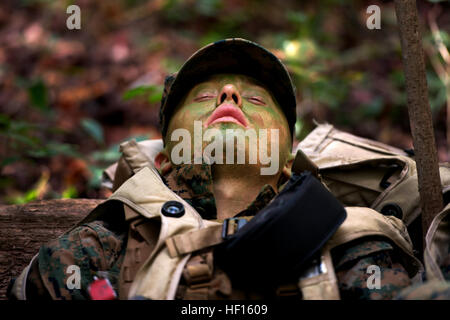 Marines patrouille dans la forêt de Camp Geiger, N.C. durant la semaine de formation de patrouille d'infanterie bataillon le 31 octobre 2013. Semaine de patrouille est un événement de formation de cinq jours qui enseigne aux élèves de l'infanterie, défensive et offensive de base des techniques de patrouille. La Compagnie Delta est la première entreprise de formation d'infanterie d'intégrer pleinement les femmes dans la Marine l'ensemble d'un cycle de formation. Cet avenir sera comanies et évaluer les performances de l'homme marines dans le cadre de recherches en cours sur la lutte contre l'ouverture des champs liés à l'emploi pour les femmes. (U.S. Marine Corps photo par le Sgt. Tyler L./Principale) Parution d'infanterie de marine femelle Banque D'Images