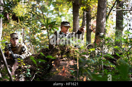 Marines patrouille dans la forêt de Camp Geiger, N.C. durant la semaine de formation de patrouille d'infanterie bataillon le 31 octobre 2013. Semaine de patrouille est un événement de formation de cinq jours qui enseigne aux élèves de l'infanterie, défensive et offensive de base des techniques de patrouille. La Compagnie Delta est la première entreprise de formation d'infanterie d'intégrer pleinement les femmes dans la Marine l'ensemble d'un cycle de formation. Cet avenir sera comanies et évaluer les performances de l'homme marines dans le cadre de recherches en cours sur la lutte contre l'ouverture des champs liés à l'emploi pour les femmes. (U.S. Marine Corps photo par le Sgt. Tyler L./Principale) Parution d'infanterie de marine femelle Banque D'Images