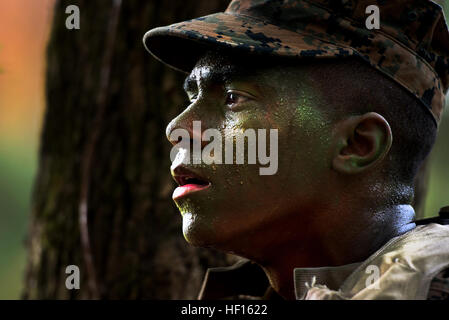 Marines patrouille dans la forêt de Camp Geiger, N.C. durant la semaine de formation de patrouille d'infanterie bataillon le 31 octobre 2013. Semaine de patrouille est un événement de formation de cinq jours qui enseigne aux élèves de l'infanterie, défensive et offensive de base des techniques de patrouille. La Compagnie Delta est la première entreprise de formation d'infanterie d'intégrer pleinement les femmes dans la Marine l'ensemble d'un cycle de formation. Cet avenir sera comanies et évaluer les performances de l'homme marines dans le cadre de recherches en cours sur la lutte contre l'ouverture des champs liés à l'emploi pour les femmes. (U.S. Marine Corps photo par le Sgt. Tyler L./Principale) Parution d'infanterie de marine femelle Banque D'Images