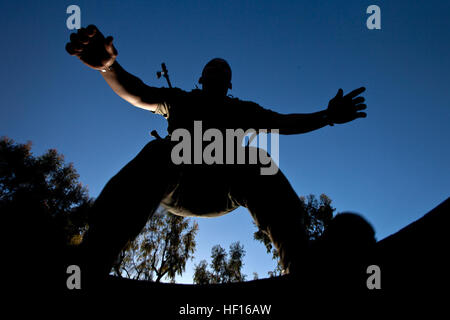 Lance le Cpl. George Sanchez, un carabinier avec la Compagnie India, 3e bataillon du 1er Régiment de Marines (3/1), exécute un saut de pneus au cours de l'entraînement physique (PT) au Camp à bord de Horno, Camp Pendleton, Californie, le 1er mars 2013. 3/1 a célébré son 72e anniversaire en organisant le brunissage et PT du bataillon de marine et les marins qui ont servi avec 3/1 depuis le bataillon a été créé le 1er mars 1941 dans la baie de Guantanamo, Cuba. (Journal officiel de l'US Marine Corps photo par le Sgt. Michael Walters/ libéré) 3e bataillon du 1er Régiment de Marines célèbre son 72e anniversaire 130301-M-PR201-709 Banque D'Images