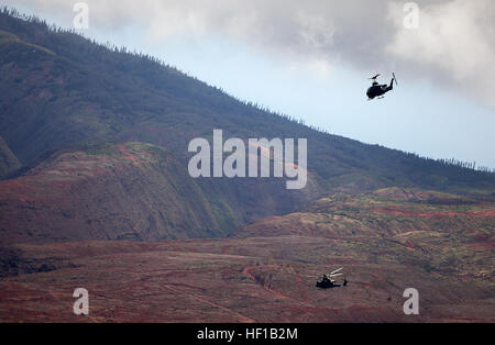 Un hélicoptère AH-1W Super Cobra et un hélicoptère UH-1Y Huey ont effectué des vols de maintenance et de préparation au-dessus de Lanai, Hawaï, le 13 juin 2013. La formation a impliqué 12 hélicoptères du HMLA-367 et du Marine Heavy Helicopter Squadron 463, dont AH-1W Super Cobras, UH-1Y Hueys et CH-53E Super Stallions, pour assurer la disponibilité opérationnelle et défier les équipes de maintenance. Banque D'Images