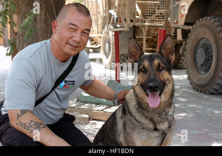 Résident de Saipan et Guam Garde nationale d'armée SPC. Ivan Igitol, membre de la Compagnie Charlie, 1-294ème régiment d'infanterie, partage un moment avec Greg, un groupe de militaires et de chiens renifleurs de bombes, le 25 juillet au Camp Eggers, Kaboul, Afghanistan. Igitol se joint à 16 du Commonwealth du Mariana Islands du nord sur une mission historique de l'opération Enduring Freedom. (Photo de Garde Nationale d'armée/Sgt. Eddie Siguenza) (Publié) Guam Guard 130626-Z-WM549-001 Banque D'Images