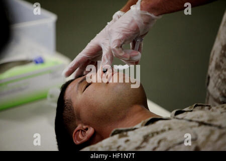 Au Camp Pendleton, les Marines du combat Logistics Battalion 5 ont participé à un cours de sauvetage au combat démontrant la gestion des voies aériennes et les compétences médicales de base pour améliorer les capacités de sauvetage au combat. Banque D'Images