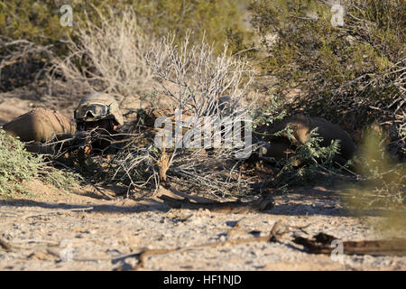 MARINE CORPS AIR STATION Yuma (Arizona) - lance le Cpl. Bryce Rhodes (à gauche) et Paul Paddock, assaultmen avec la Compagnie Bravo, 1er Bataillon, 7e Régiment de Marines, assurer la sécurité d'un poste de combat au cours d'un exercice de défense ici, le 15 octobre 2013. Les Marines dissimulé leurs positions de combat avec filet de camouflage et de la végétation pour se fondre dans leur environnement. Le bataillon a mené, pendant trois jours à la pratique de la défense les champs appropriés d'incendie, d'établir des positions de combat et stimulant la capacité des Marines pour l'exploitation tout en sommeil. Au cours de tactiques de défense pratique fantassins Banque D'Images