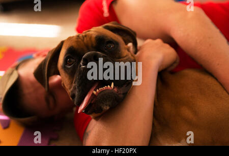 Vétéran Marine Cpl. Kyle Reid câlins avec son chien d'assistance, Shamus. Kyle est en compétition dans la natation et la voie à la Marine Corps 2014 Essais cliniques sur le Marine Corps Base Camp Pendleton, en Californie le régiment du Corps des Marines blessés blessés permet, malades ou blessées Marines de se concentrer sur leurs capacités et de trouver de nouveaux moyens de se développer. Le meilleur ami de Marine 140309-M-KL110-002 Banque D'Images