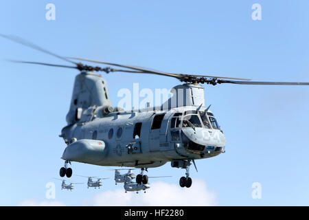 Les US Marines of Marine Medium Helicopter Squadron 364, Marine Aircraft Group 39, 3rd Marine Aircraft Wing, volent des hélicoptères CH-46E Sea Knight en formation au-dessus de San Diego, Californie, le 31 mars 2014, dans un exercice de vol de masse marquant la transition vers le MV-22 Osprey. Banque D'Images