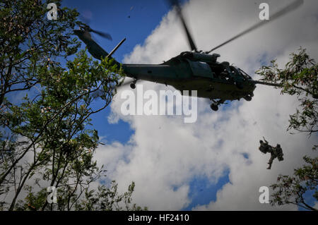 Le California Air pararescuemen national affecté à la 131e Escadron de sauvetage de commencer l'extraction pour un vol stationnaire HH60-G Pave Hawk hélicoptère de sauvetage à la zone d'entraînement du Corps des Marines des soufflets, Kailua, Hawaii, le 28 avril 2014. L'objectif pour l'équipe de Ange gardien affecté à la 129e Escadre de sauvetage, Moffett Federal Airfield, Californie, a été la reprise du personnel civil de l'écrasement d'un avion. (Photo de la Garde nationale aérienne par le sergent. Kim E. Ramirez) reprise dans la jungle 140428-Z-IG805-335 Banque D'Images