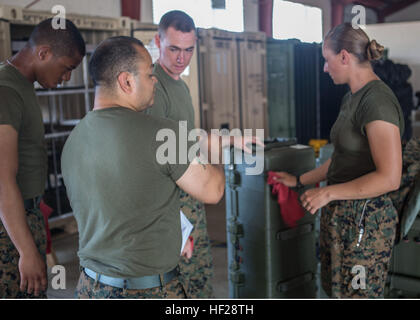 Le sergent des Marines des États-Unis. David, Perezcalle Landing Support Société, CLR 45, les délégués de marine sur ce qui doit être fait en premier dans Tradewinds 2014 tir à bord de la base navale de République Dominicaine, Las Calderas, situé près de Bani, la République dominicaine, le 22 juin 2014. Inventaire de l'ensemble de la formation et de l'équipement non-formation doivent être comptabilisés et emballés loin avant d'être chargés sur le navire à grande vitesse mixte qui sera ensuite retourner l'équipement à son ancienne destination. Les Marines américains avec Charley, 4e compagnie du bataillon de l'application de la loi maritime, Réserve des Forces canadiennes, et les soldats de l'Armée canadienne sont la formation Banque D'Images