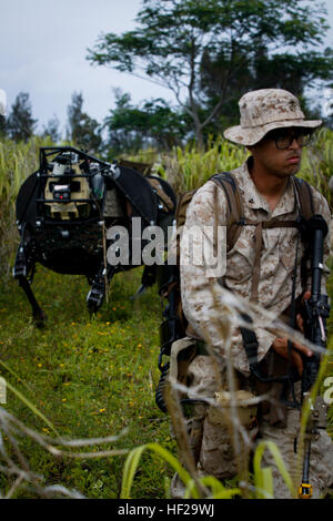 Le natif de Las Vegas. Brandon Dieckmann, un fantassin du 3e Bataillon, 3e Régiment de Marines, de l'Inde Co., dirige l'Escouade Pattes Support System à travers un champ ouvert à Kahuku Secteur d'entraînement le 10 juillet 2014. Le LS3 est expérimental technologie testée par le Marine Corps Warfighting Lab dans le cadre de l'expérience de combat de pointe au cours de Rim of the Pacific 2014. Il y a plusieurs technologies à l'essai au cours de l'EXERCICE RIMPAC, le plus grand exercice maritime dans la région du Pacifique. Cette année comprend 22 pays et autour de 25 000 personnes. (U.S. Marine Corps photo par le Sgt. William L. Banque D'Images