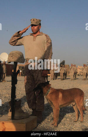 Le Cpl. Daniel Cornier, un(e) ami(e) et de la police militaire de chien, rend hommage à l'honneur et rendre hommage au Cpl. Max W. Donahue pendant un service commémoratif à la base d'opérations avancée Delhi, province de Helmand, Afghanistan, le 21 août. Donahue a été tué 7 août, tandis que des opérations de combat dans la province de Helmand, en Afghanistan. 3-1 l'honneur d'un DVIDS Marine311892 Banque D'Images