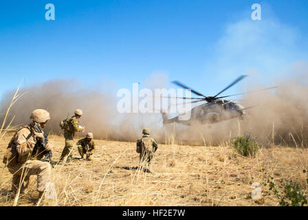 Royal Australian militaires et marines des États-Unis travaillent ensemble comme un CH-53E Super Stallion se prépare à la terre 22 Août à Bradshaw Domaine Domaine de formation, Territoire du Nord, Australie. L'événement culminant de Koolendong 14 entraînera des exercices d'incendie et de la manœuvre exécutée de manière bilatérale avec les membres de l'armée australienne et la 1 Brigade de Marines des États-Unis 1er bataillon du 5e Régiment de Marines, impliquant l'infanterie, des chars, d'artillerie et d'ingénieurs. Les marines sont actuellement déployés dans le cadre de la Force de rotation Maritime Darwin. Le déploiement des Marines américains de rotation offre une combinaison sans précédent de train Banque D'Images