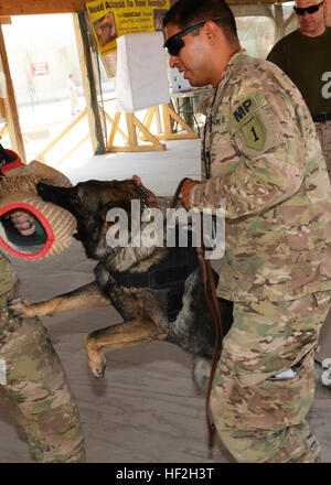 La CPS. Andres Aguilar, à partir de la 226e Détachement de chien de travail militaire, 89e Brigade de police militaire, donne une démonstration de mordre avec son chien de travail militaire, Lux, lors d'un événement commémorant la Journée mondiale de la rage à la promenade sur l'aérodrome de Kandahar, Afghanistan, le 27 septembre 2014. Lux est un garçon de 8 ans de formation de berger allemand pour les patrouilles et la détection des bombes. (U.S. Photo de l'armée par le sergent. John Etheridge) KAF clinique vétérinaire est titulaire d'événement pour marquer la Journée mondiale de la rage 140927-Z-BQ261-049 Banque D'Images