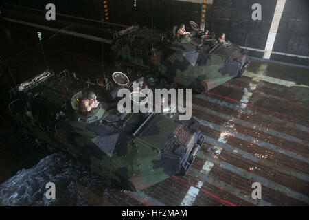 Les marines se préparent à lancer leur assaut amphibies de la coque de l'USS Germantown (LSD 42) Le 2 novembre au cours de l'exercice Blue 15 Chromite. La chromite bleu démontre la Marine et Marine Corps amphibie des capacités expéditionnaires et de la mer. Les marines sont avec Combat Assault bataillon, 3e Division de marines, III Marine Expeditionary Force. (U.S. Marine Corps Photo par le Cpl. Thor J. Larson/AAVs) Parution de l'USS lancement Germantown au cours de la chromite Bleu 141102-M-MS007-357 Banque D'Images