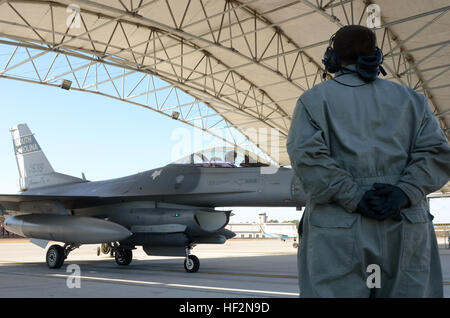 Le lieutenant-colonel Michael Ferrario, F-16 fighter pilot avec la Caroline du Sud Air National Guard, termine une visite pré-vol comme un membre de la 1re classe Josh Crout, chef d'équipe avec le 169e groupe de maintenance, attend de mobiliser l'avion sur la piste. La Garde nationale de Caroline du Sud, le long de la Caroline du Nord et de la Géorgie avec des unités de la Garde nationale menée "Carolina Thunder 14", d'une perceuse week-end, la formation conjointe de l'exercice le 15 novembre 2014. Plus de 30 aéronefs ont participé à la messe à décoller de la base de la Garde nationale mixte Guess, Eastover, L.C. (unités ont effectué des opérations aériennes et terrestres à la Savannah tr Banque D'Images